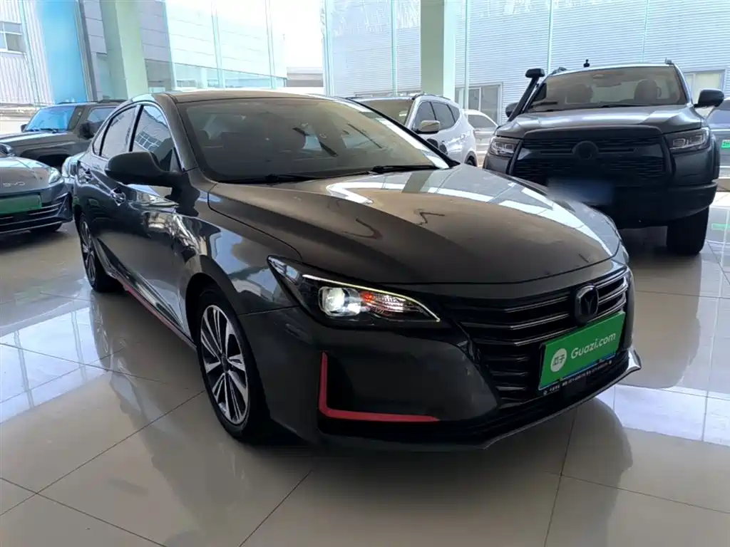 Ruicheng CC Blue Whale 1.5 T DCT Luxury