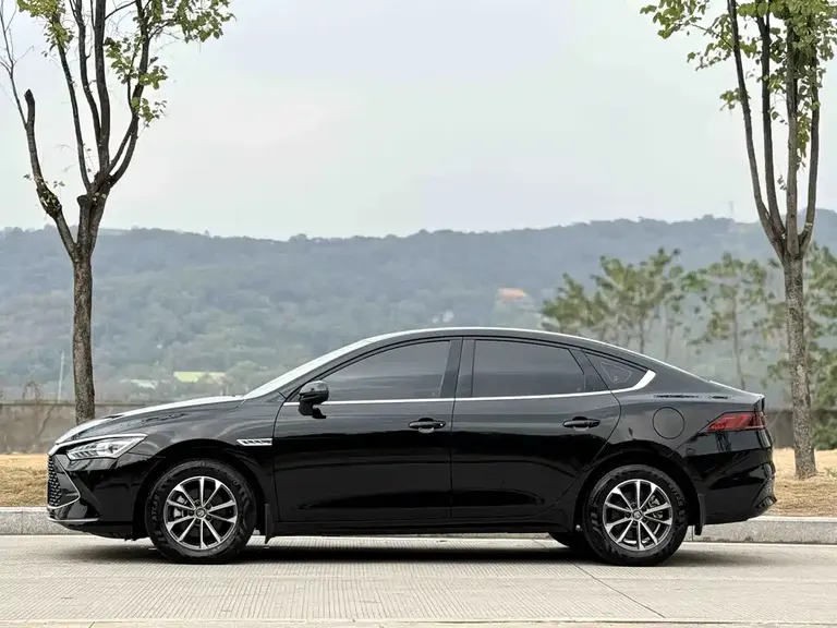BYD Qin PLUS Champion DM-i 55 KM Leading