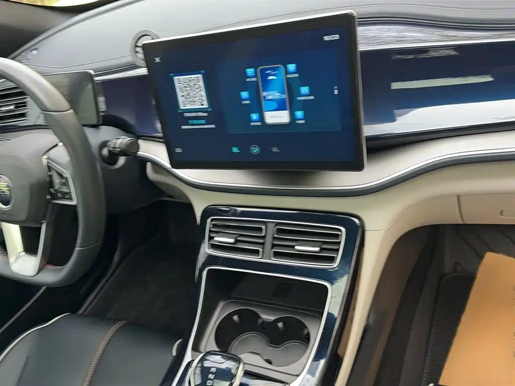 Qin PLUS DM-i 55 KM Flagship