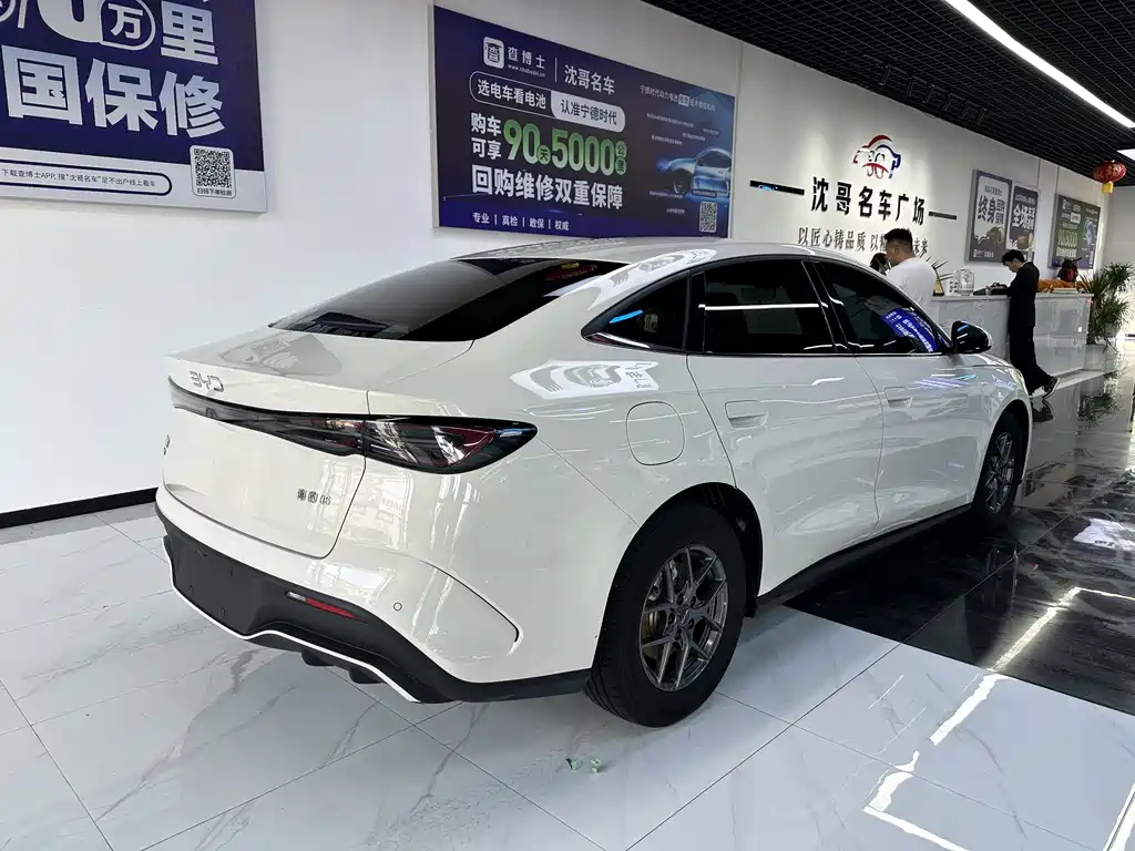 Seal 06 DM-i Smart Drive 80 KM Luxury