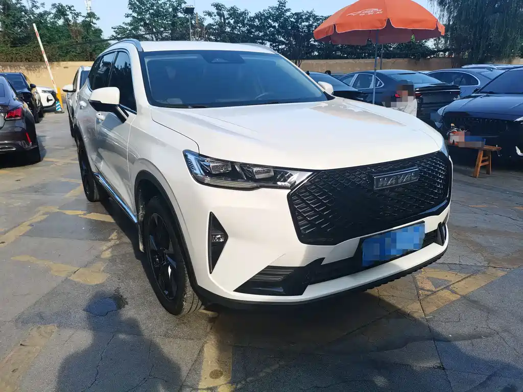 Haval H6 3 rd Gen 2.0 T Auto 2 WD Max