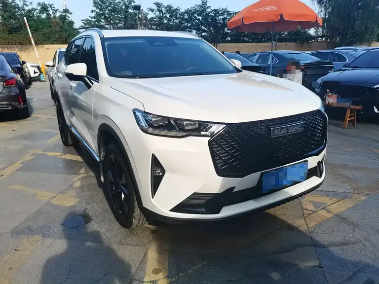 Haval H6 3 rd Gen 2.0 T Auto 2 WD Max