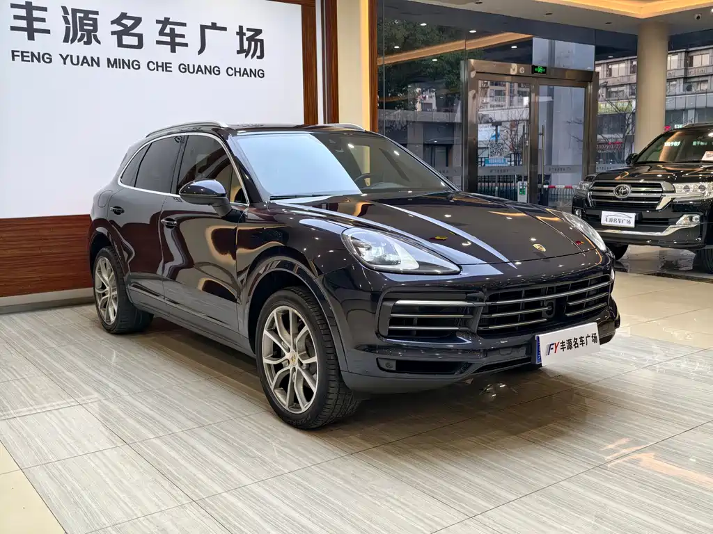 Cayenne Cayenne 3.0 T Platinum