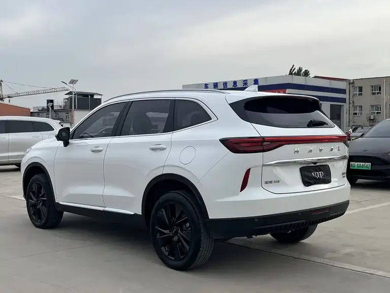 Haval H6 3 rd Gen 2.0 T Auto 4 WD Max