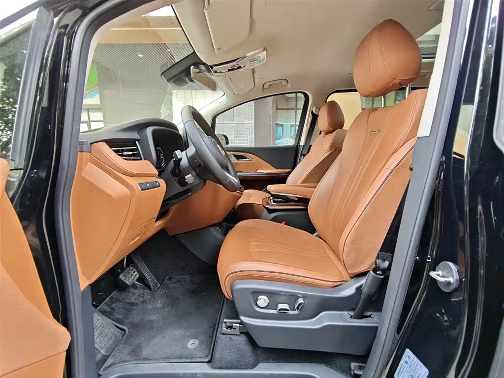 Hongqi HQ9 PHEV 2.0 T 4 WD Luxury