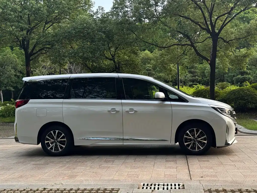 GAC Trumpchi M8 Leading Show Series 390 T Luxury