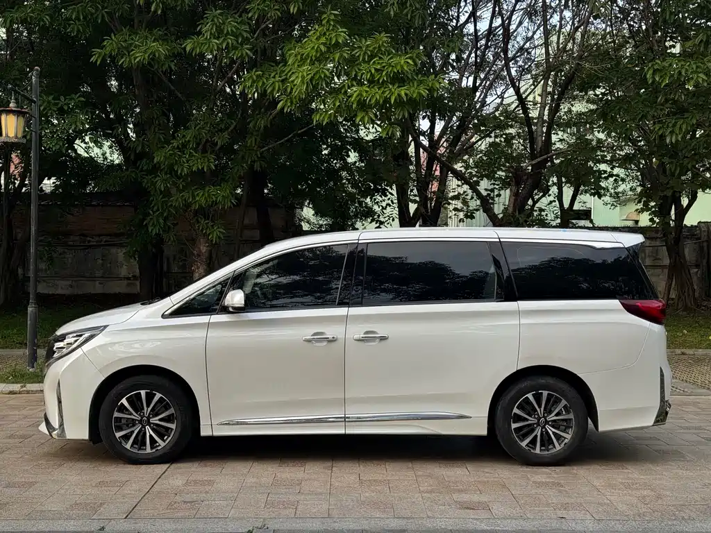GAC Trumpchi M8 Leading Show Series 390 T Luxury