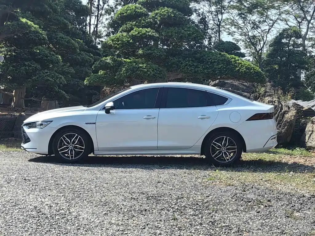 Qin PLUS DM-i 55 KM Flagship