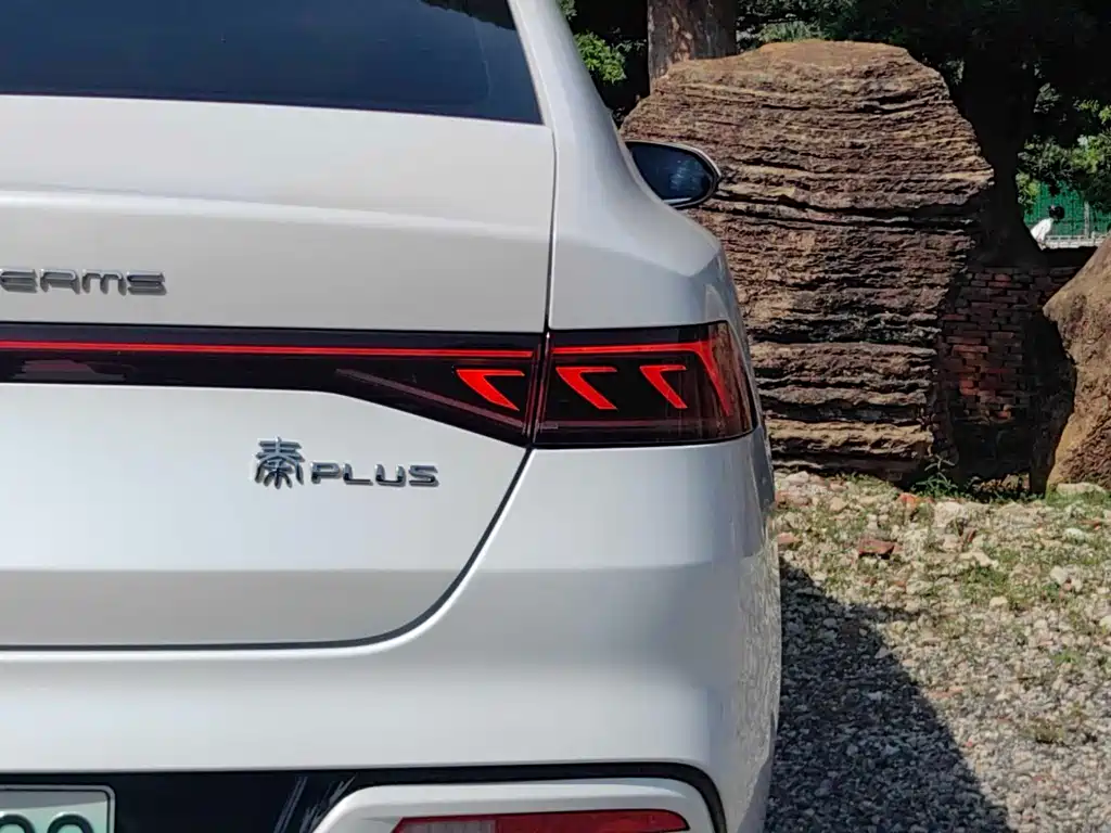 Qin PLUS DM-i 55 KM Flagship
