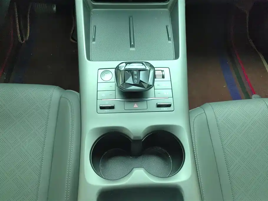 Qin PLUS DM-i Smart Drive 55 KM Leading