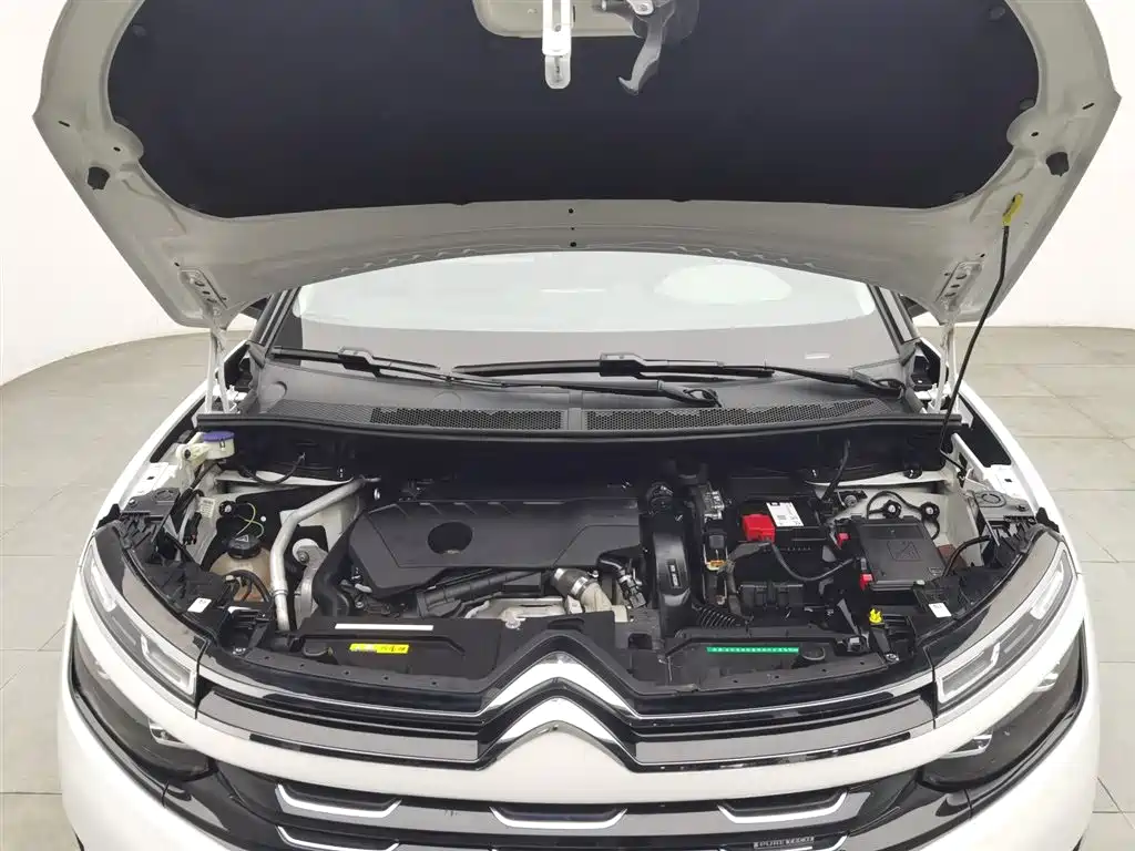 C5 Aircross 天逸 C5 AIRCROSS 2020款 360 THP ORIGINS百年臻享版