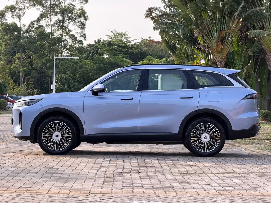 Fengyun T9 120 Long Range Flagship 7-seat Ternary Lithium