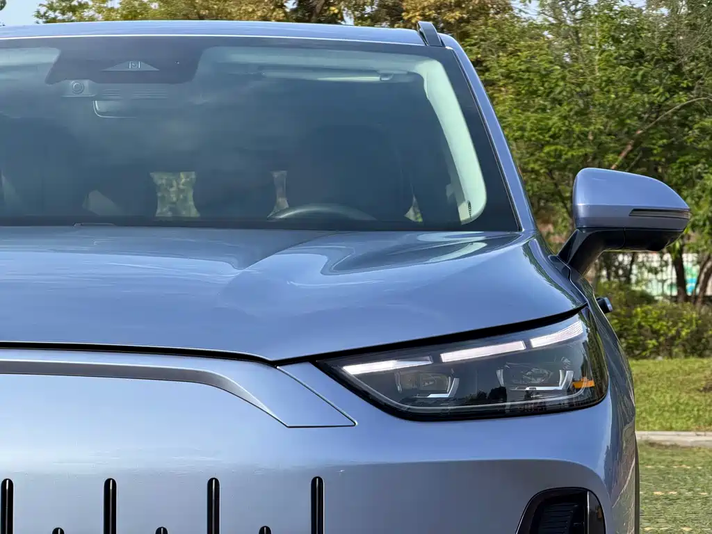 Fengyun T9 120 Long Range Flagship 7-seat Ternary Lithium