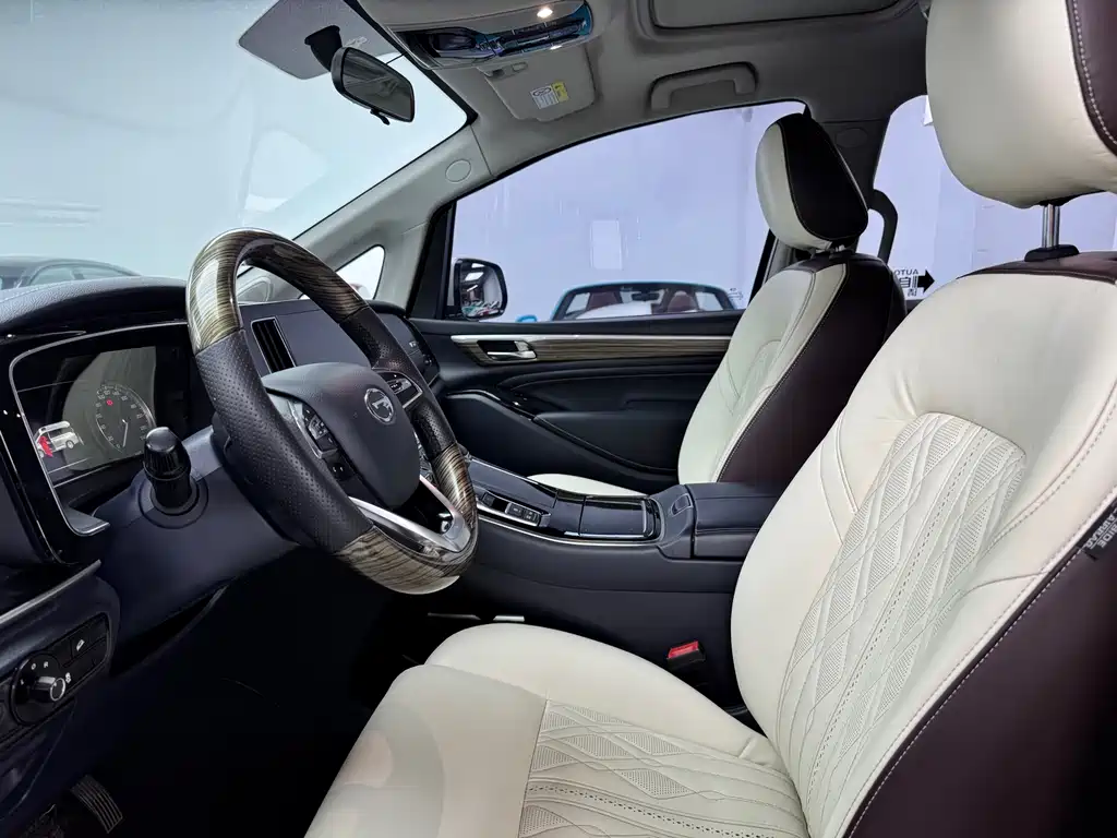 GAC Trumpchi M8 Leading Show Series 390 T Premium