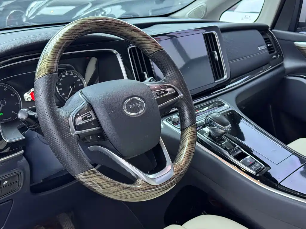 GAC Trumpchi M8 Leading Show Series 390 T Premium