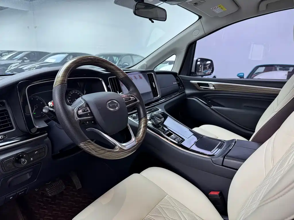 GAC Trumpchi M8 Leading Show Series 390 T Premium
