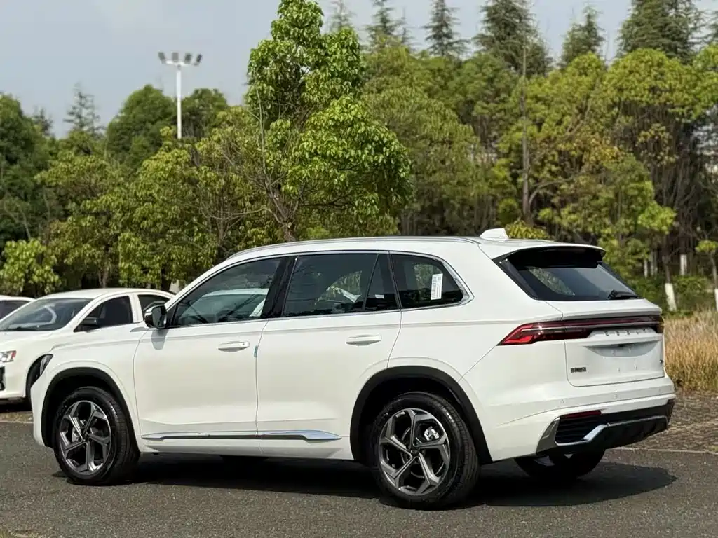 Xingyue L 2.0 TD DCT EVO 2 WD Long Wind
