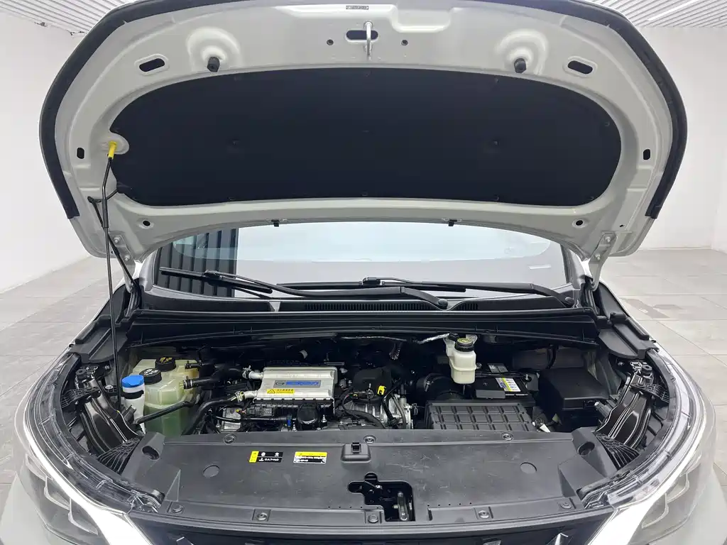 GAC Trumpchi M6 PRO 270 T DCT Luxury