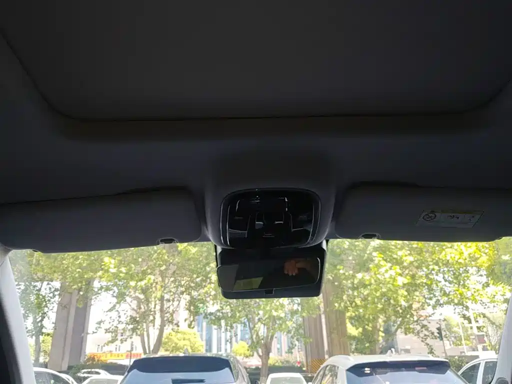 Fengyun T9 120 Long Range Distinguished 5-seat LFP