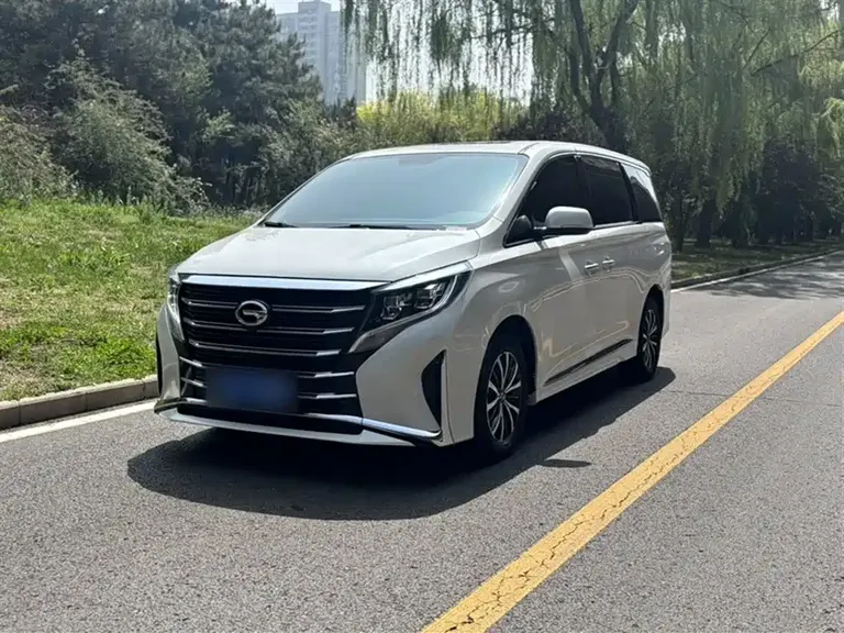 GAC Trumpchi M8 Leading Show Series 390 T Premium