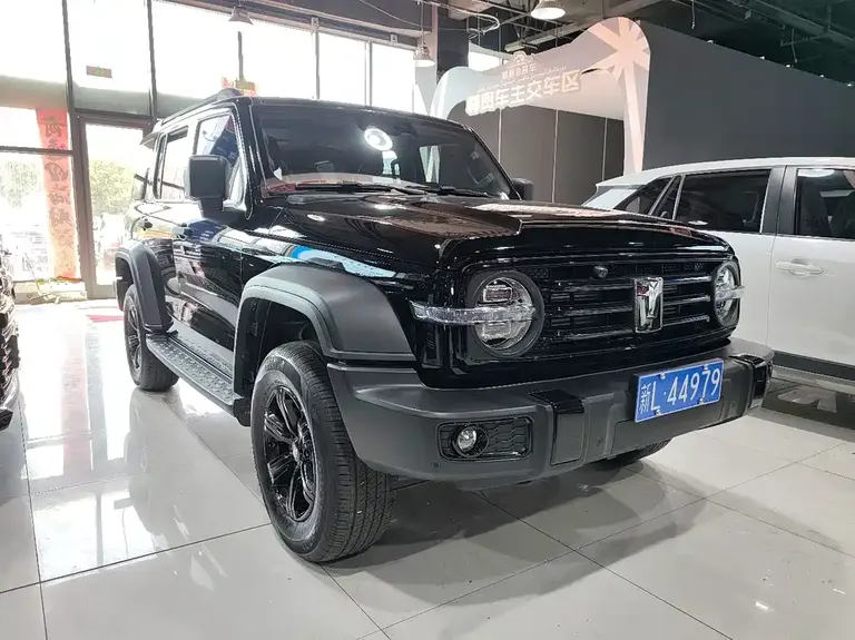 Tank 300 2.0 T Gasoline Conqueror