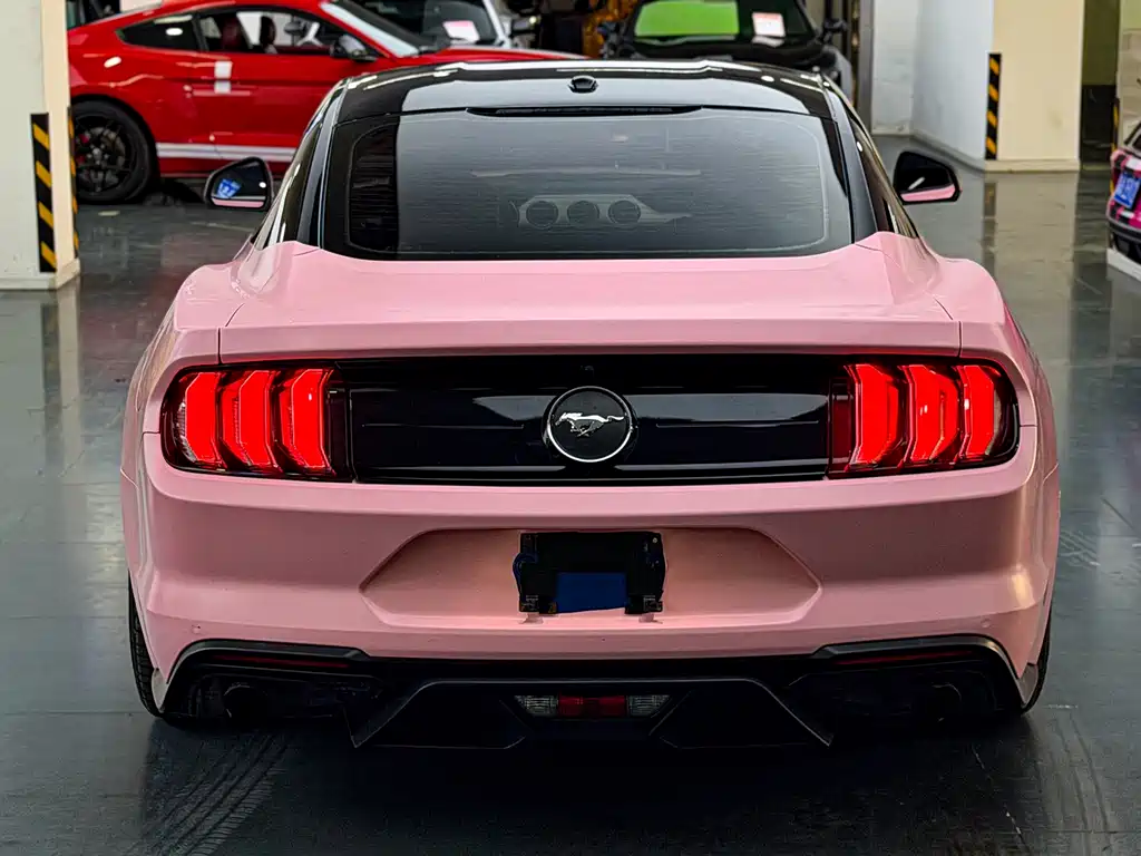 Mustang 2.3 L EcoBoost Performance Reinforced