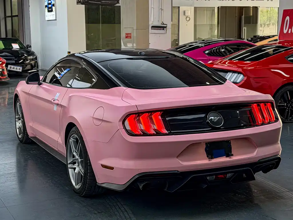 Mustang 2.3 L EcoBoost Performance Reinforced