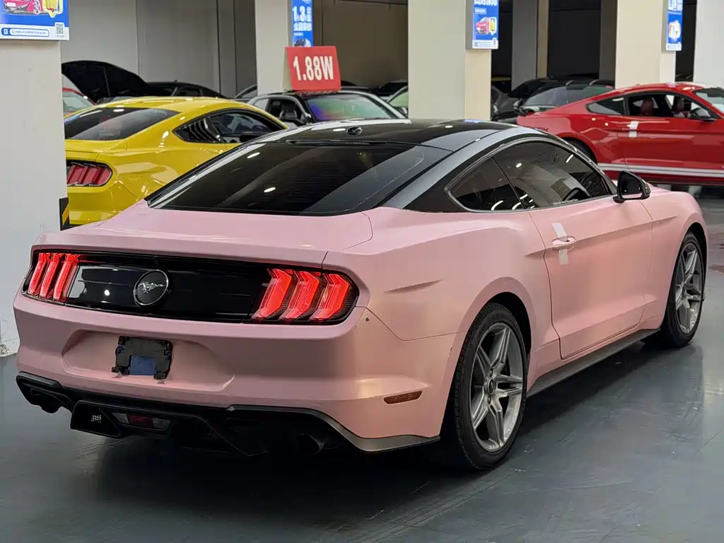 Mustang 2.3 L EcoBoost Performance Reinforced