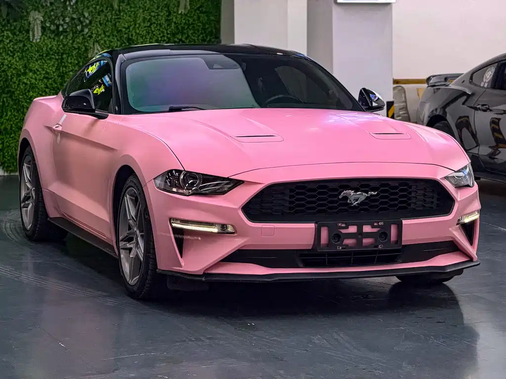 Mustang 2.3 L EcoBoost Performance Reinforced