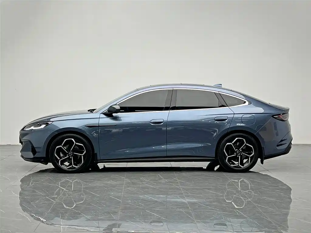 Seal 06 DM-i 120 KM Flagship