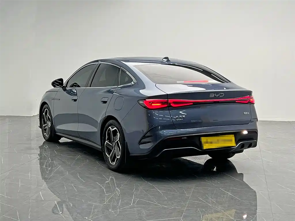 Seal 06 DM-i 120 KM Flagship