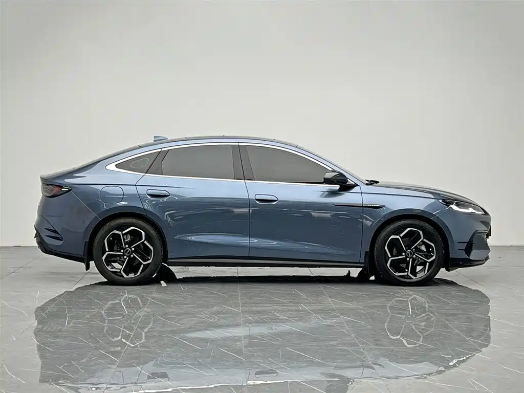 Seal 06 DM-i 120 KM Flagship