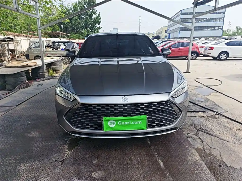 Qin PLUS Champion DM-i 55 KM Transcend
