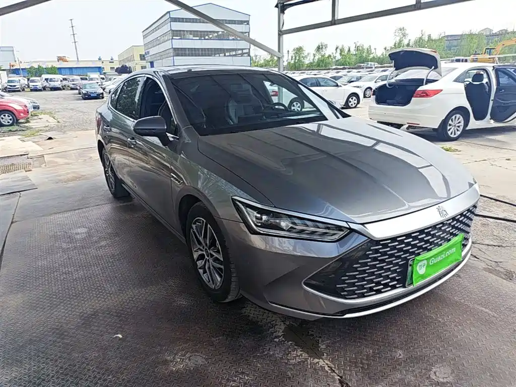 Qin PLUS Champion DM-i 55 KM Transcend