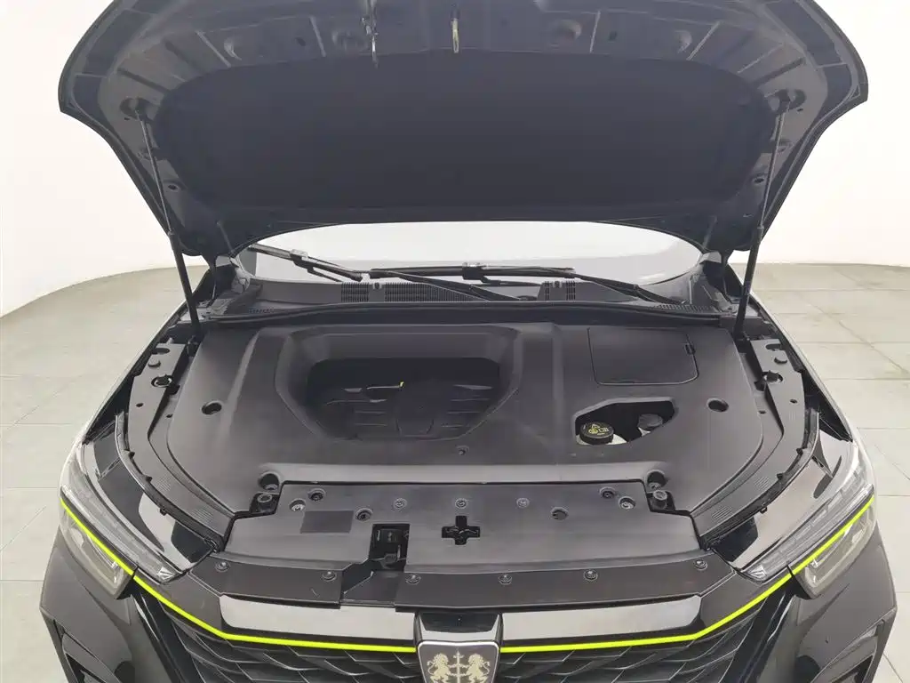 Roewe RX5 PLUS 300 TGI Auto Ali China Style Luxury Honor Qilin