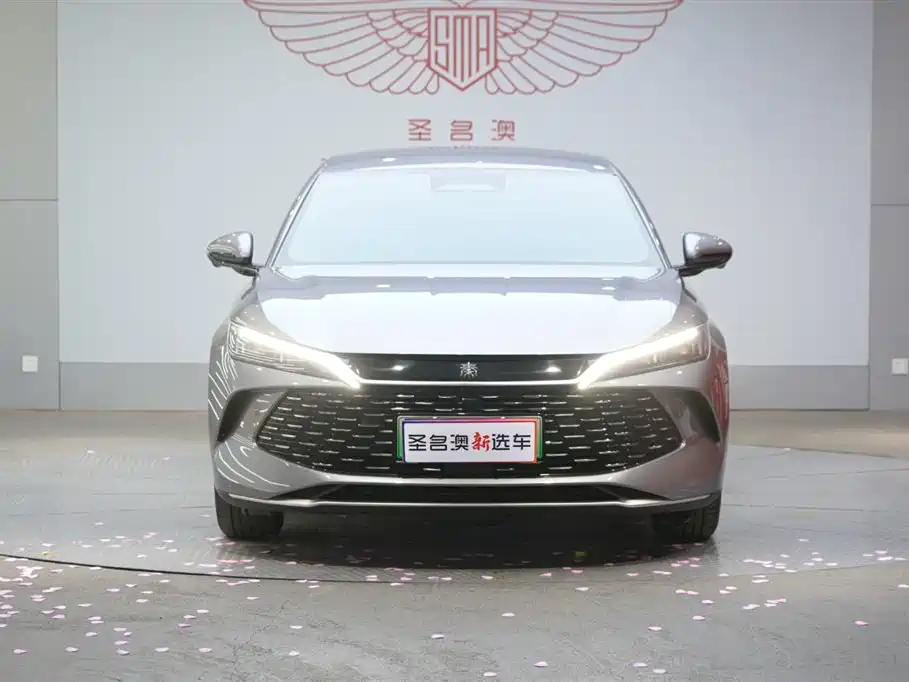 Qin L DM-i Smart Drive 80 KM Leading