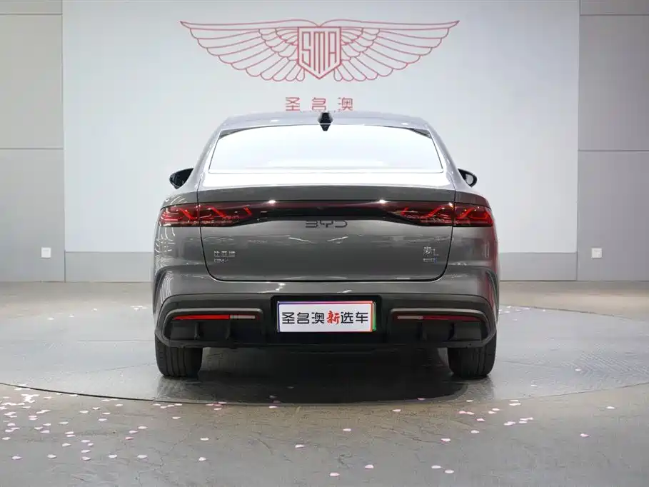 Qin L DM-i Smart Drive 80 KM Leading