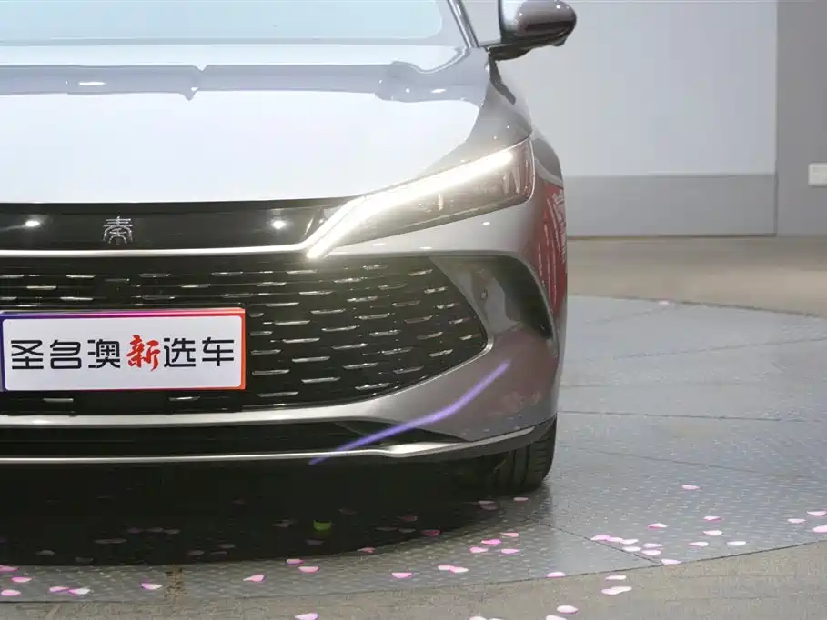 Qin L DM-i Smart Drive 80 KM Leading