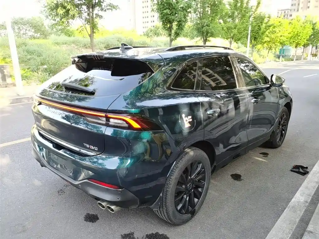 Fengxing T5 EVO 1.5 TD DCT Stellar
