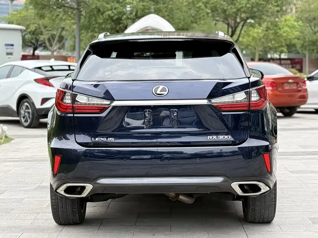 Lexus RX 300 4 WD Elegant CN-V