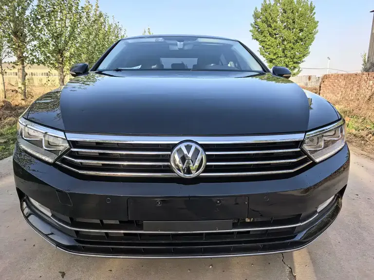 Volkswagen Magotan 330 TSI DSG Luxury