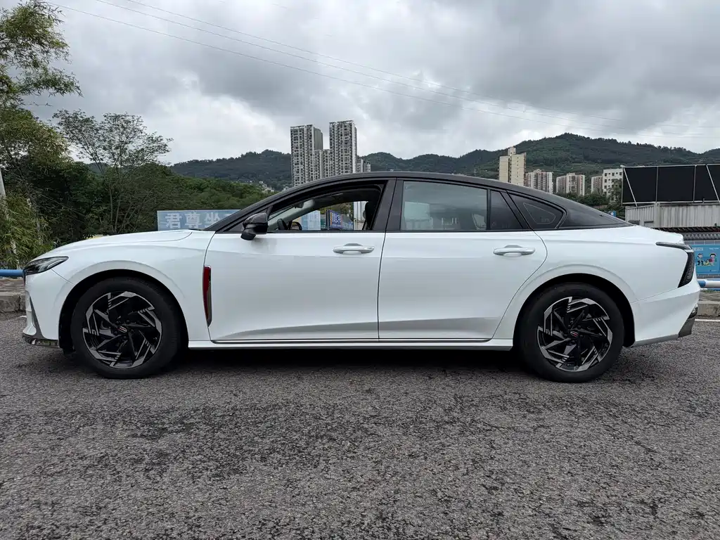 Hongqi H6 2.0 T Beauty