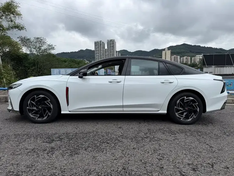 Hongqi H6 2.0 T Beauty