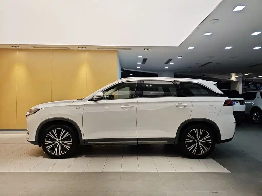 Changan Oshan X7 1.5 T Auto Distinguished