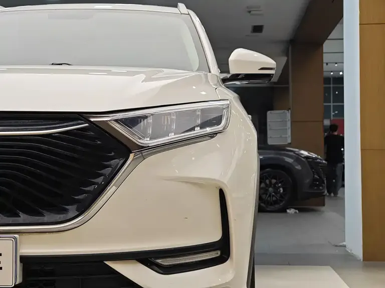Changan Oshan X7 1.5 T Auto Distinguished