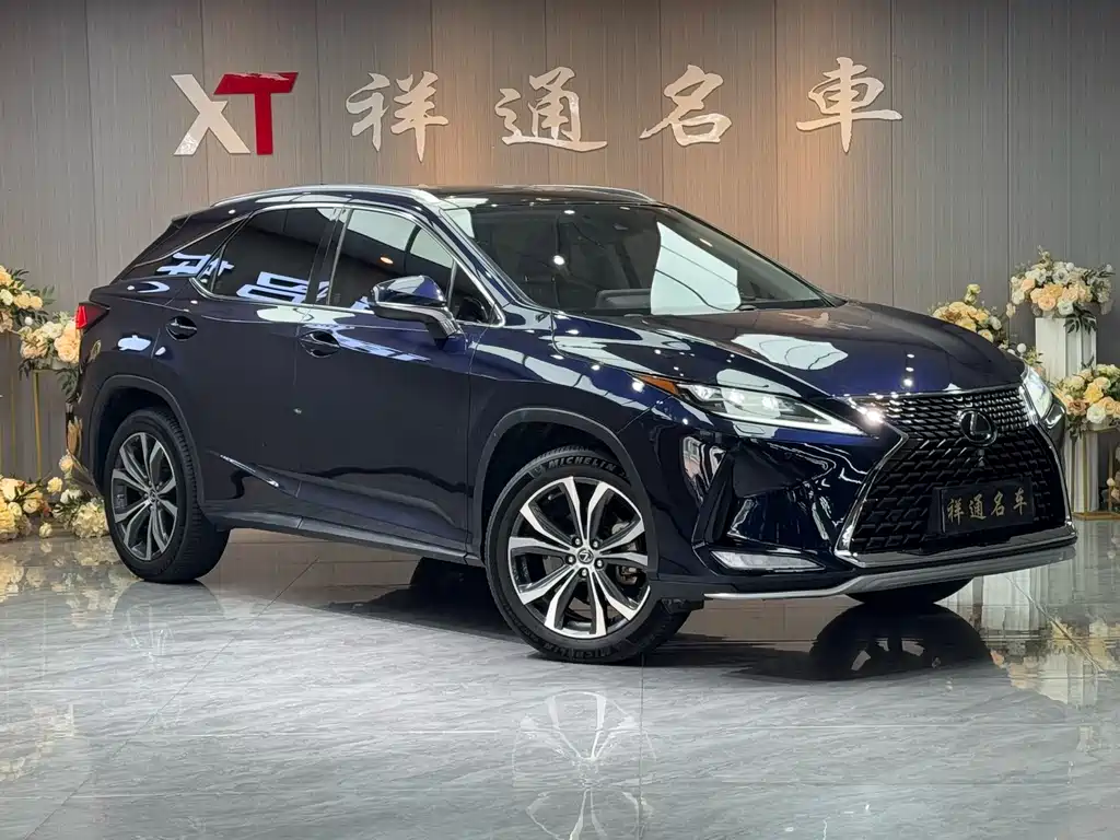 Lexus RX 300 4 WD Elegant CN-VI