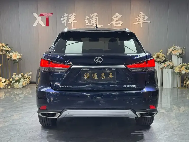 Lexus RX 300 4 WD Elegant CN-VI