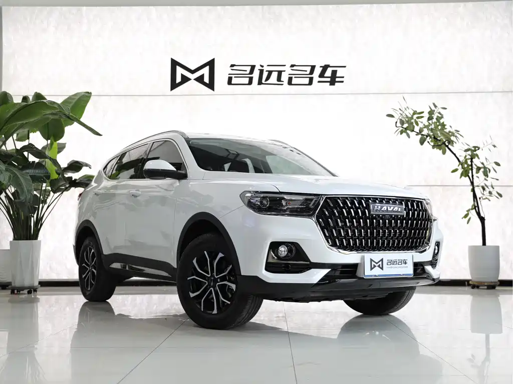 Haval H6 China Style 1.5 T Auto Urban
