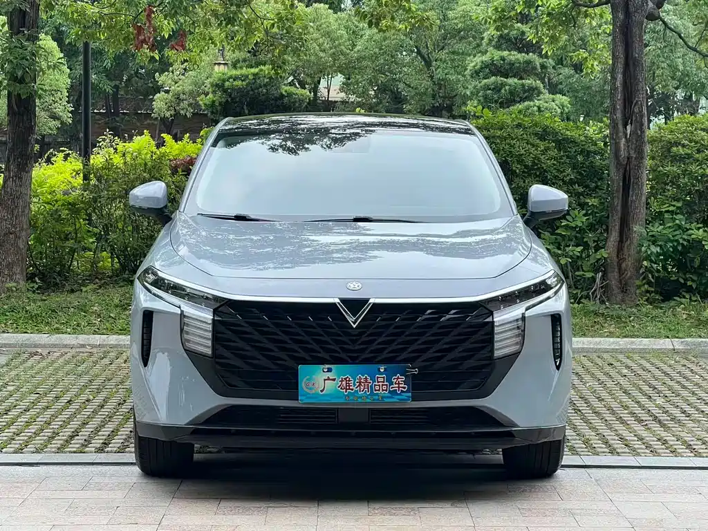 Venucia Big V 260 T Idol