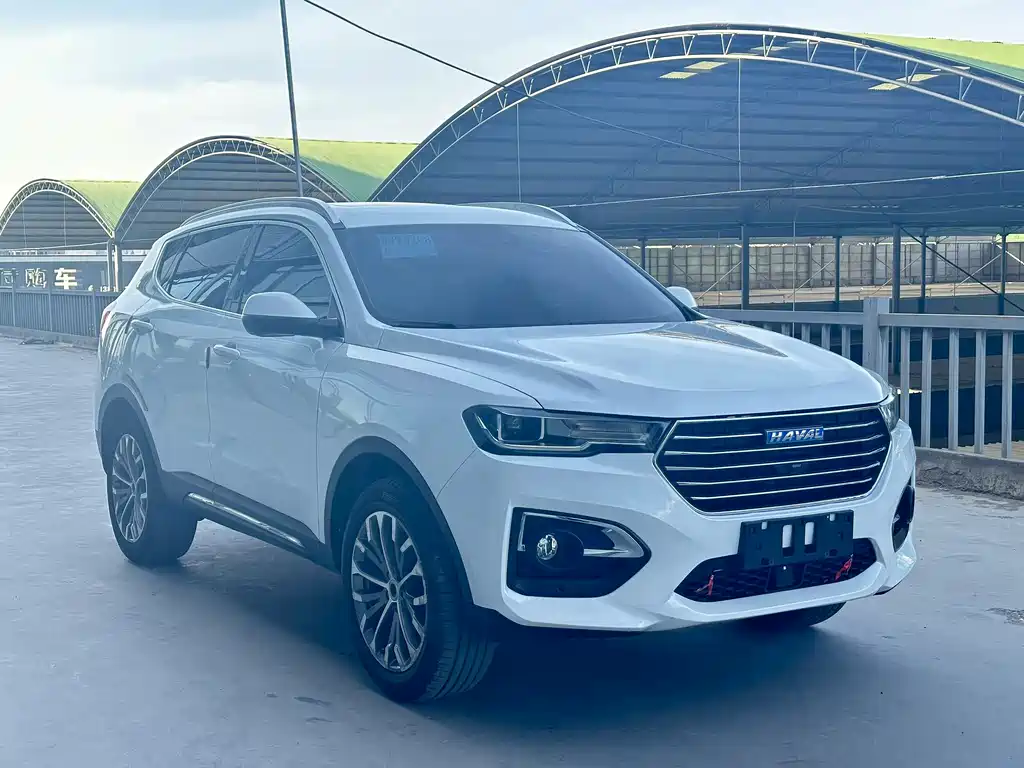 Haval H6 哈弗H6 2019款 蓝标 1.5 GDIT 自动豪华智联版